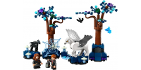 LEGO Harry Potter La Forêt interdite : les créatures magiques 2024